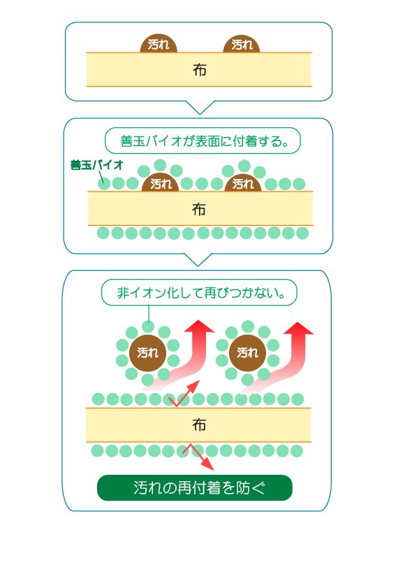 善玉バイオ洗剤 浄の説明図